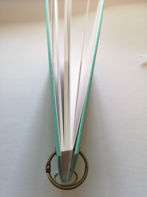 Mentol nebo mint - album — foto 4