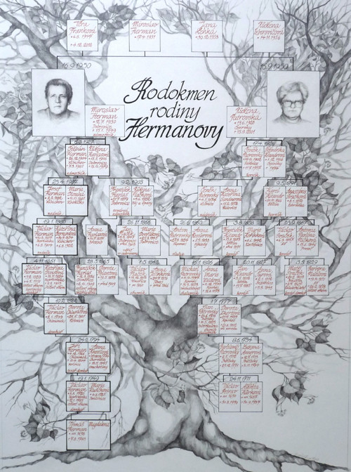 Kreba rodokmenu — foto 3