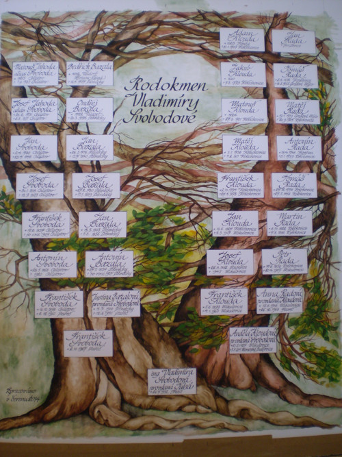 Kreba rodokmenu — foto 2