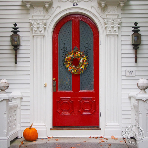 Pumpkin — foto 2