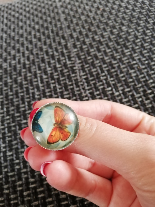 Motýlí rej — foto 6