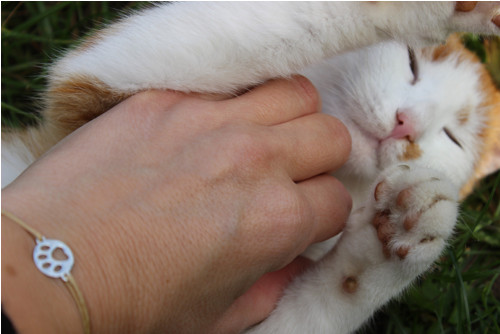Tlapka.. Náramek decentní. — foto 2