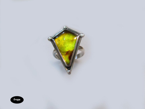 JanTarr — foto 4