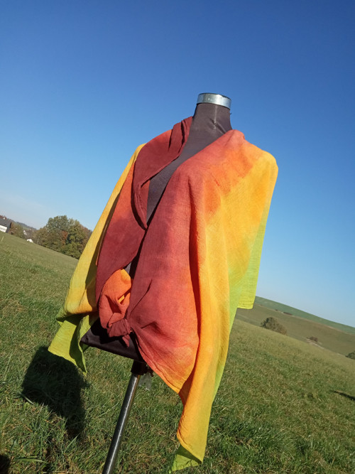 Podzimní strom — foto 4