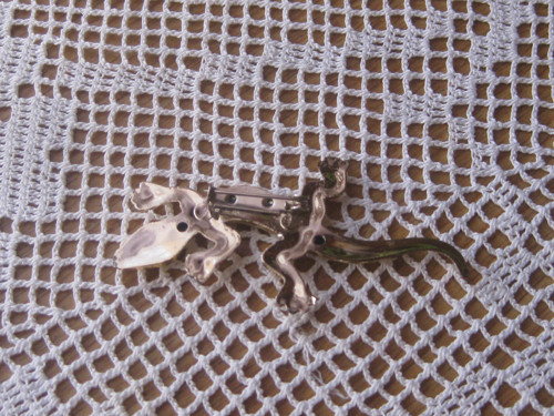 Brož - ještěrka velká — foto 3