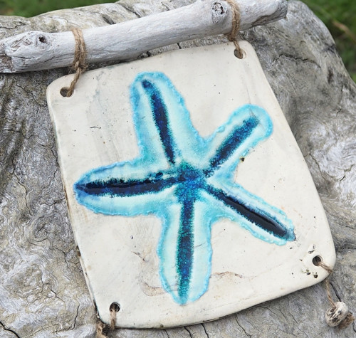 Obrázek hvězdice a driftwood — foto 3