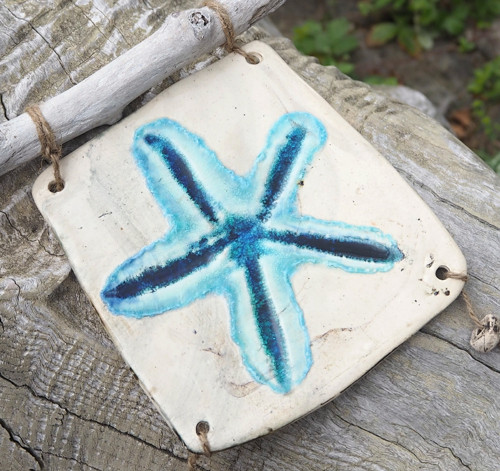 Obrázek hvězdice a driftwood — foto 4