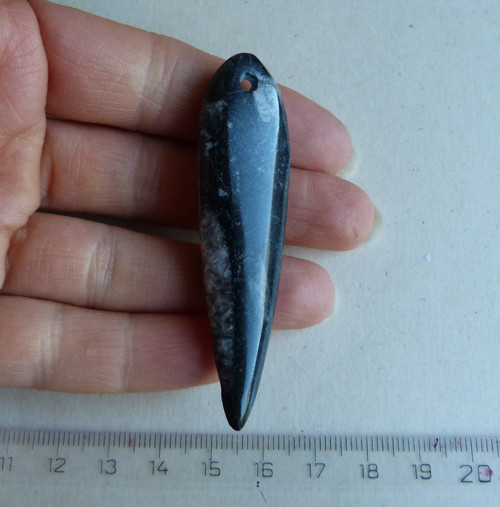 Orthoceras - 6,8 cm — foto 3