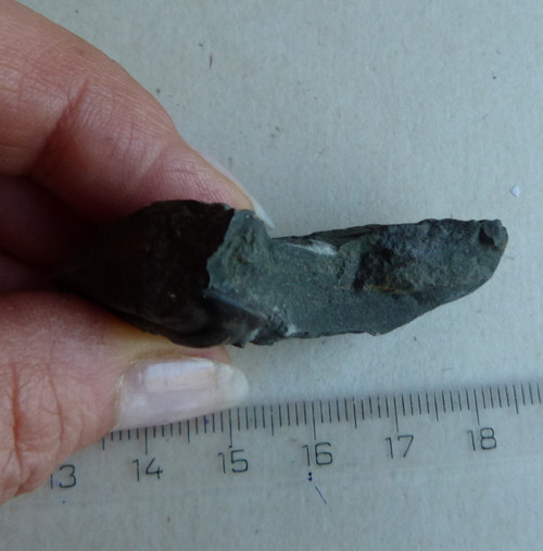 Trilobit ČR - 5,2 cm — foto 5