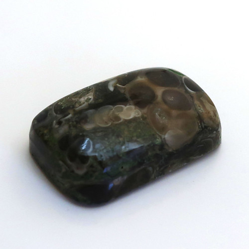Kabošon turritella obdelník 22mm — foto 2