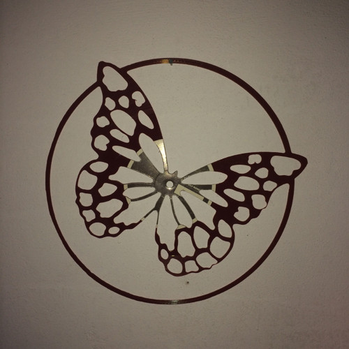 Vinyl art Motýl — foto 2