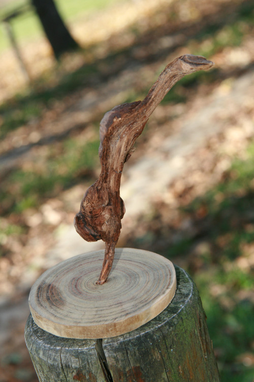 Skok do vody — foto 2