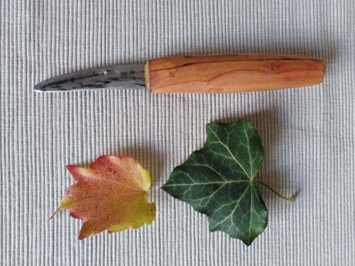 Srp + meruňka II — foto 6