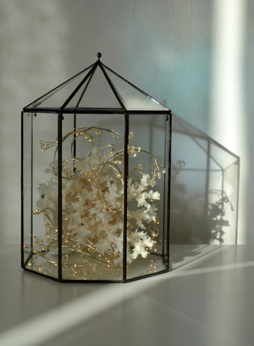 Florarium "Domeček kulatý" — foto 3