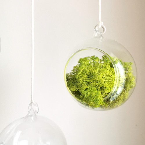 Aerarium koule — foto 2