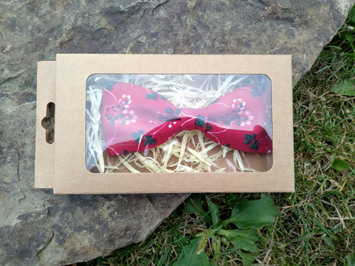 Pánský motylek — foto 2