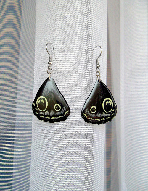 Náušnice - motýlí křídla č.111 — foto 4