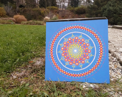 Prostě divočina... Mandala — foto 2