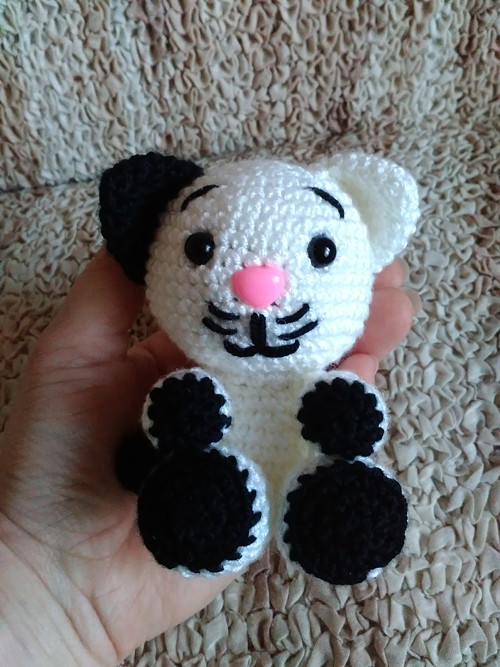 Mini kotě — foto 2