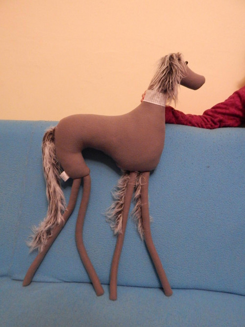 Saluki - perský chrt — foto 3