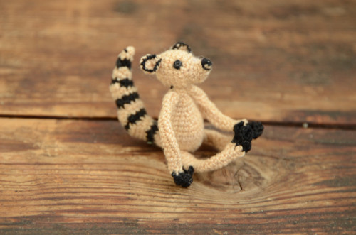 Lemur — foto 2