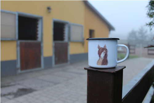 Tradiční plecháček — foto 2