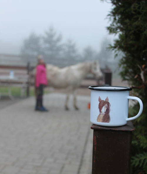 Tradiční plecháček — foto 3
