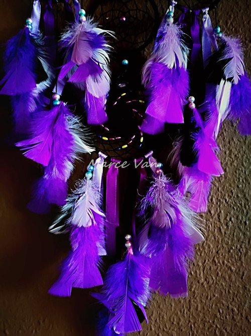 Lapač fialový — foto 3
