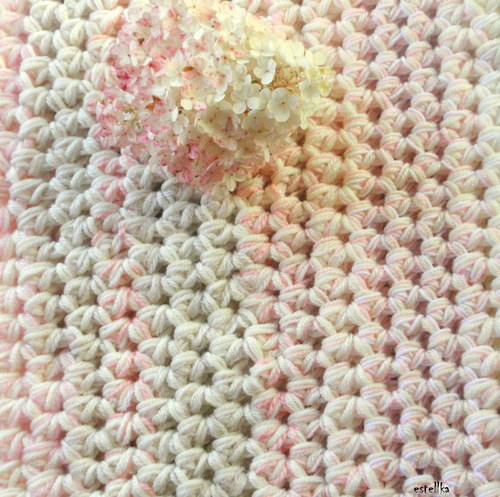 ...hydrangea... — foto 5