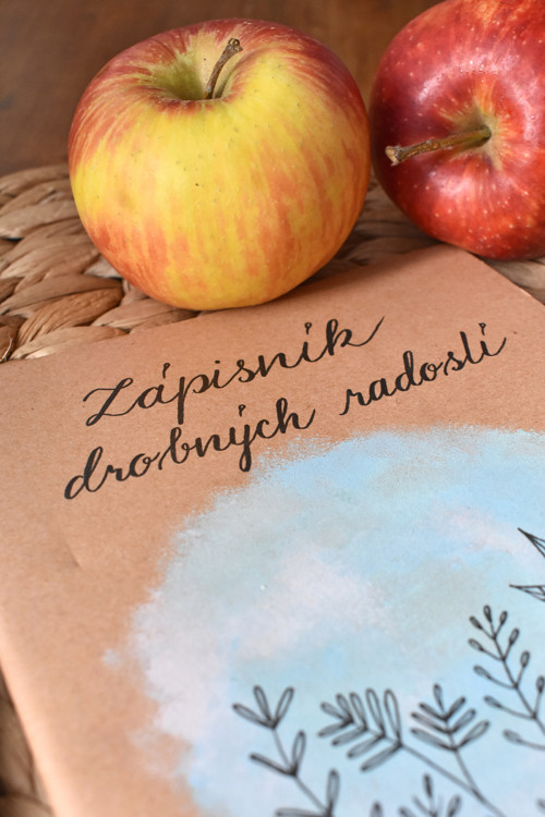 Zápisník drobných radostí — foto 3