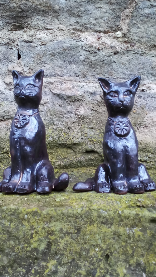 Kočka egyptská černá — foto 5
