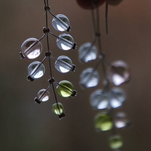 Rybízky drobné — foto 3