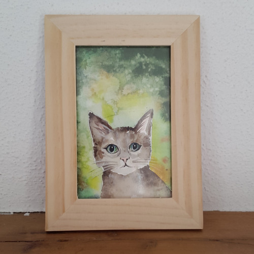 Kočičí dáreček 2 — foto 2
