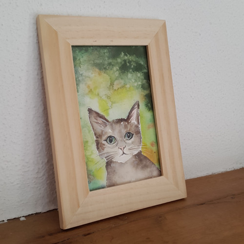 Kočičí dáreček 2 — foto 3