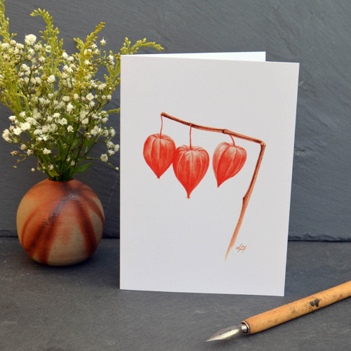 Physalis — foto 2