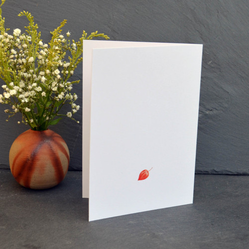 Physalis — foto 3