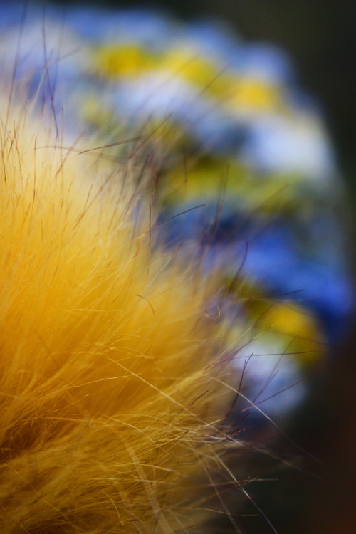 Čapule s bambulí vlna/alpaca "Pro Modromilky" — foto 4