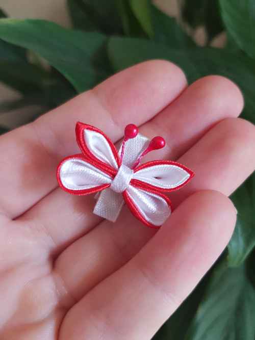 Sponka Motýlek — foto 3
