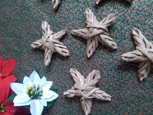 Hvězdička přírodní — foto 2