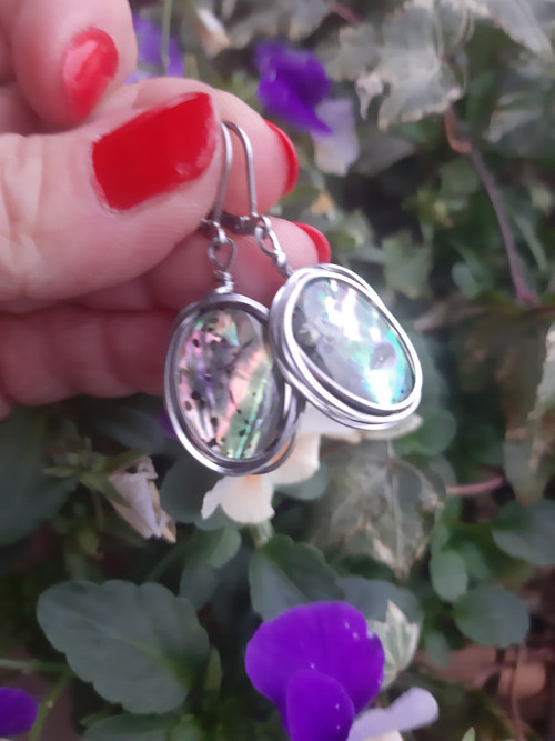 Abalone — foto 2