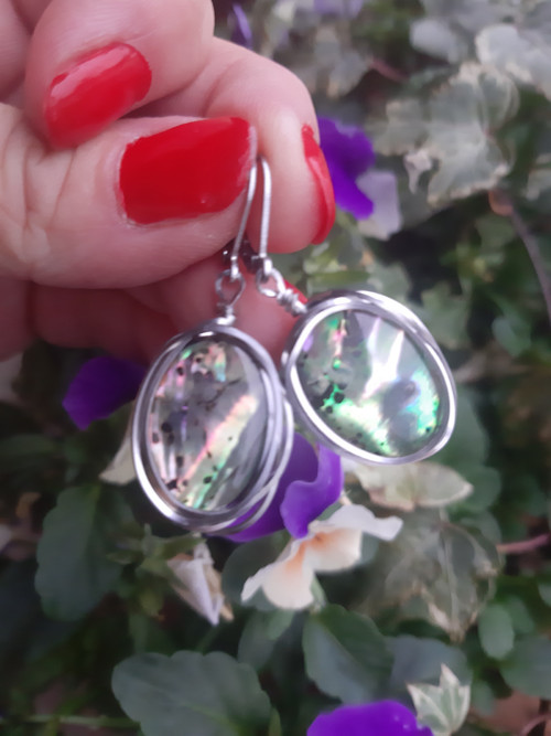 Abalone — foto 3