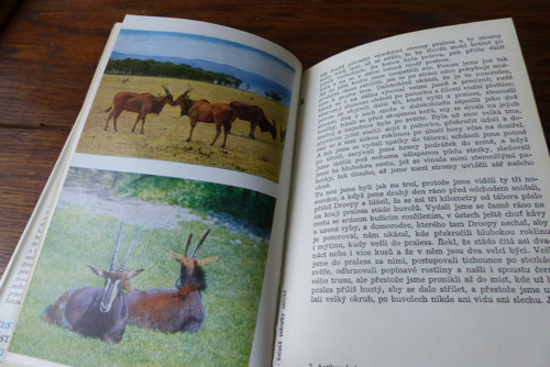 Zelené pahorky africké, E. Hemingway — foto 3