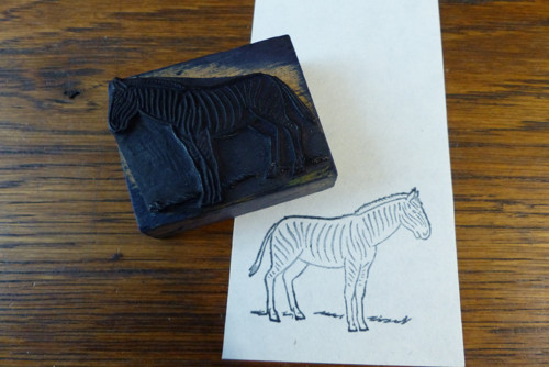 Zebra...staré tiskátko, razítko — foto 2
