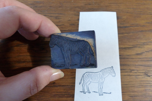 Zebra...staré tiskátko, razítko — foto 3