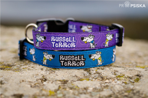 Obojek Russell TERROR modrý — foto 4