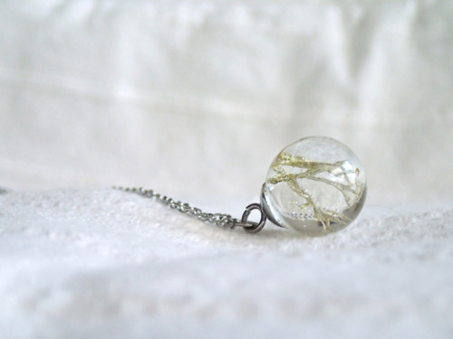 Frosty moss — foto 2