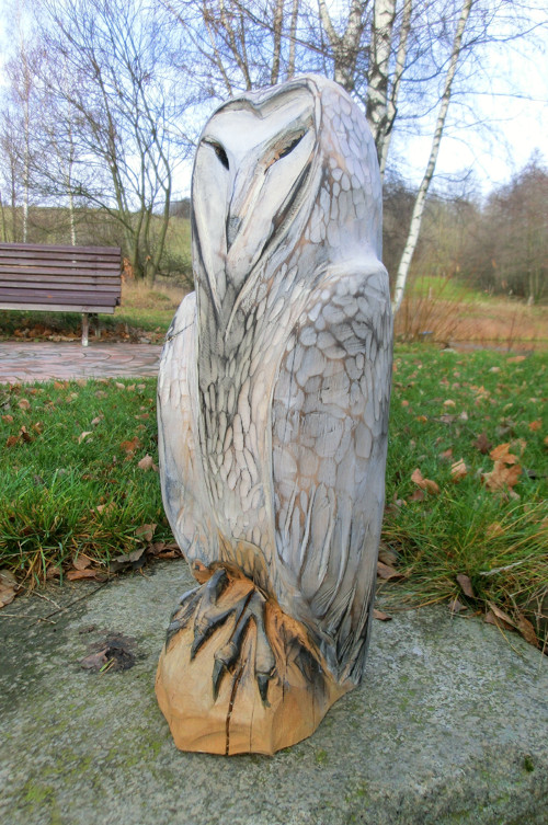 Sova, 46cm, interiér — foto 2