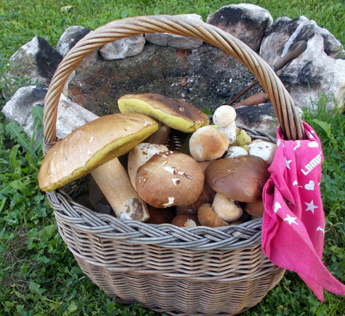 Samé rourky, žádný chladič:-) — foto 5