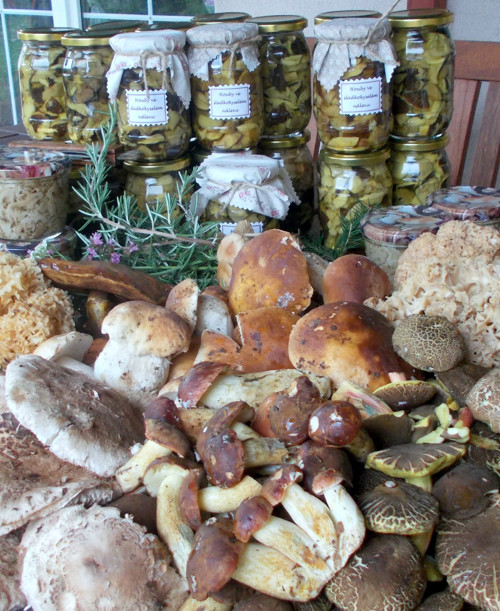Samé rourky, žádný chladič:-) — foto 6