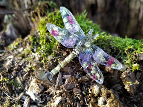 Vážka orchidej a rdesna - brož — foto 5
